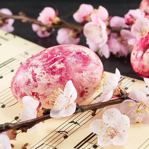Featured image for “Frühlingsferien”
