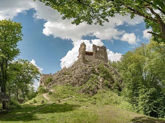Hrad Šášov
