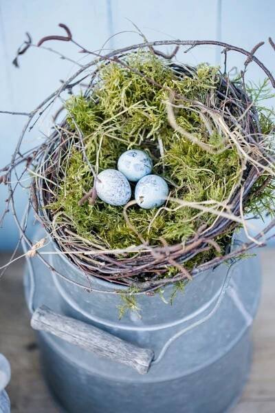 three eggs in a bird's nest on top of a blue bucket with moss