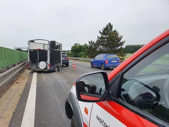 Na dálnici u Olomouce hasiči po nehodě chytali dva koně. Provoz stál