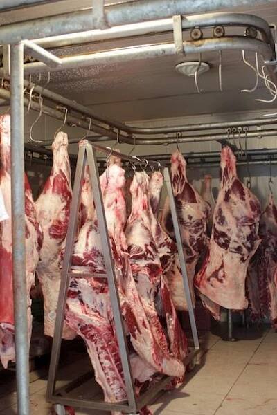 Une boucherie | Photo Premium | Rind, Rindfleisch, Nägel zum aufkleben
