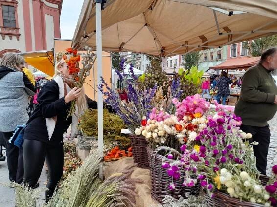 Podzimní farmářské trhy 2022 • Městská kulturní zařízení Hranice