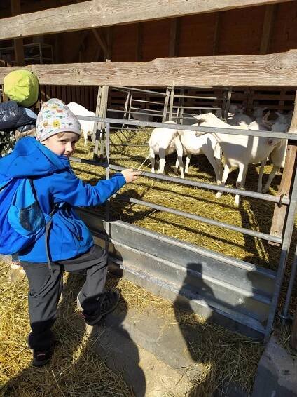 Skutečně zdravá škola - Novinky ze škol - Farma dojných a kašmírských koz Šošůvka