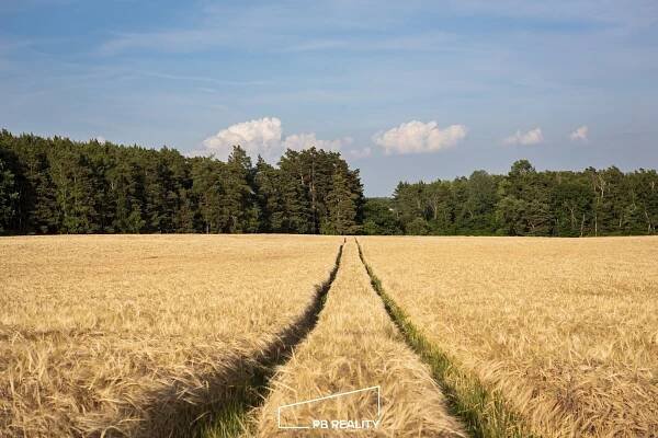Prodej Dům, Blatnice, okres Plzeň-sever