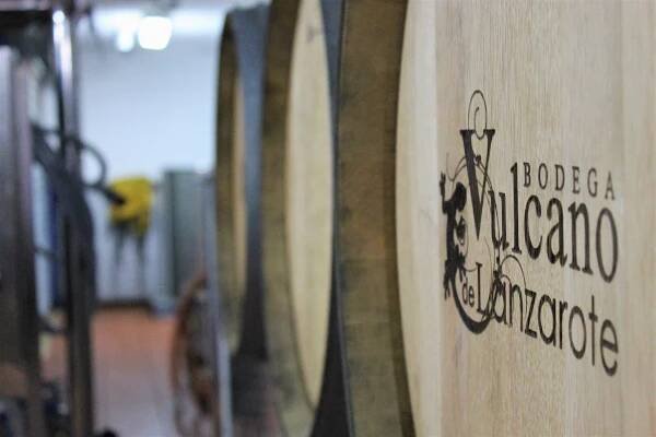 Bodega Vulcano Experience