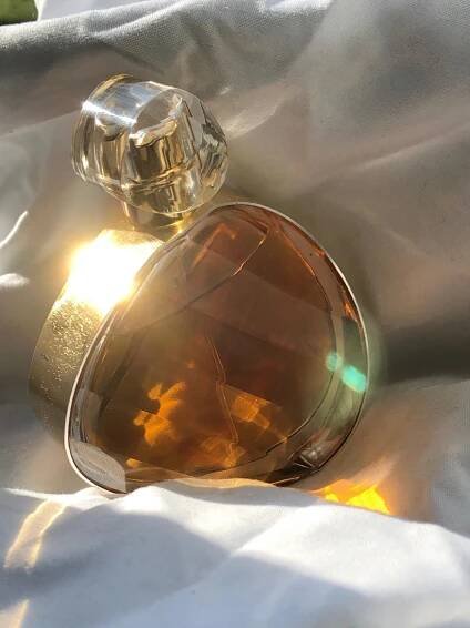 Untold Absolu Elizabeth Arden pro ženy