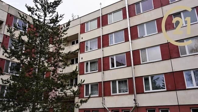 Pronájem Byt 2+1, nám. Míru, Velké Opatovice