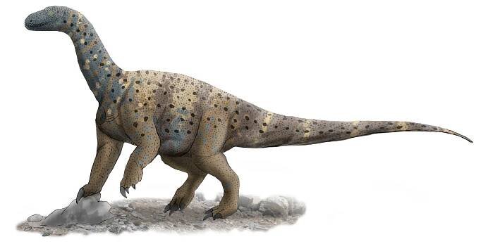 Sauropodiformes