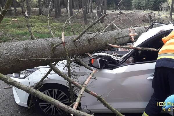 Nedaleko Rokycan došlo k pádu stromu na jedoucí vozidlo