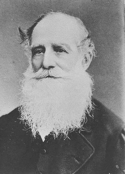 William Mayne (Australian politician)