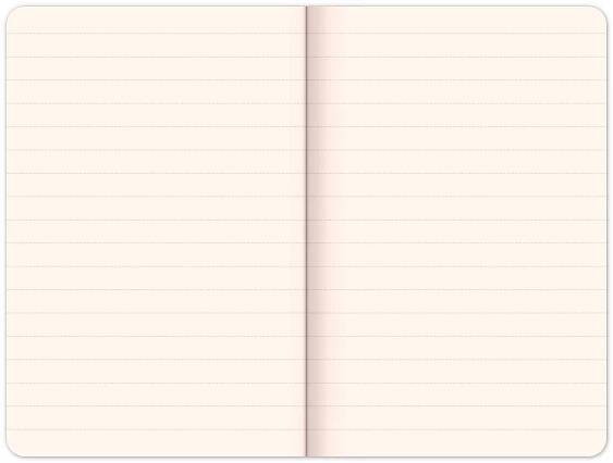 Notes Ananasy - linkovaný | ♥ DITIPO.cz