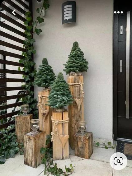 some trees are sitting on wooden logs in front of a door