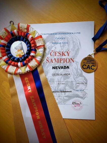 Nevada Celtic Alanda – RayllBeRi