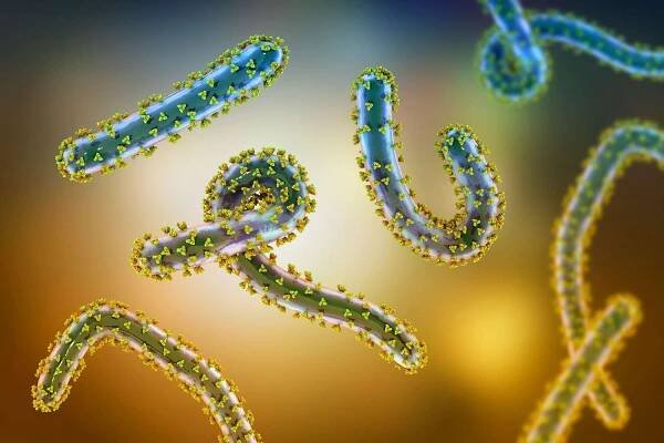 'Bleeding Eye' Virus Sparks Travel Warning and Worldwide Concern — What Is the Incurable Disease?
