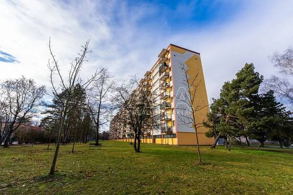 Prodej Byt 1+kk, Severní, Hradec Králové - Slezské Předměstí