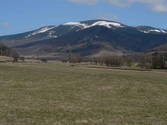 Mravenečník (Hrubý Jeseník)