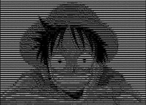GitHub - qeesung/image2ascii: :foggy: Convert image to ASCII