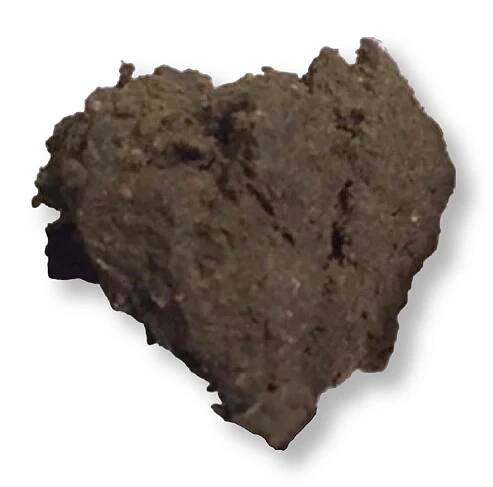 Finger Hash