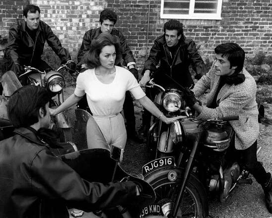 Shirley Anne Field