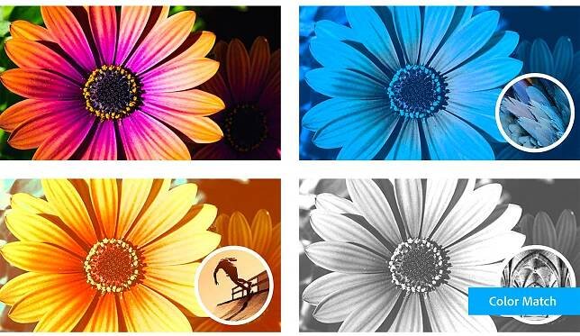 ADOBE Photoshop Elements 2024 MP CZ FULL | FotoŠkoda