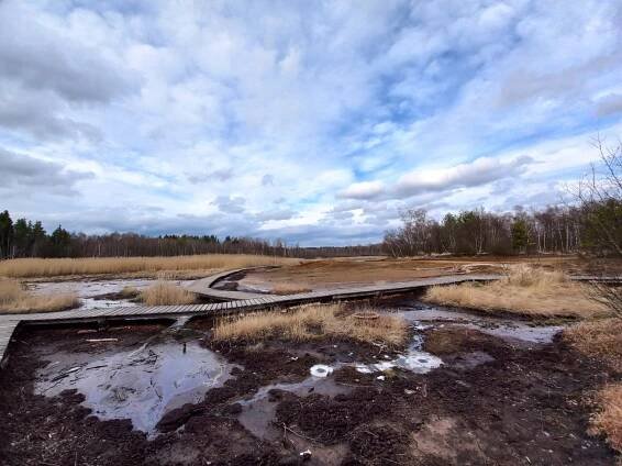 /FOTO, VIDEO/: Všude to syčí a bublá. Rezervace Soos vypadá jako z jiného světa
