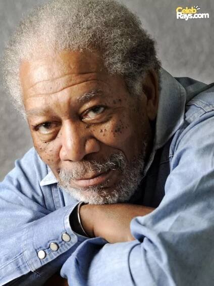 Morgan Freeman professional career glimpses