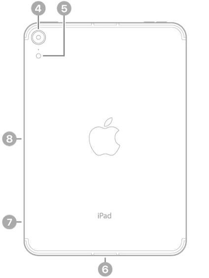The back view of iPad mini with callouts to the rear camera and flash at the top left, the USB-C connector at the bottom center, the SIM tray (Wi-Fi + Cellular) at the bottom left, and the magnetic connector for Apple Pencil on the left.