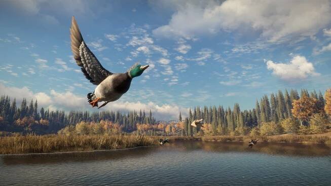 the hunter 15
