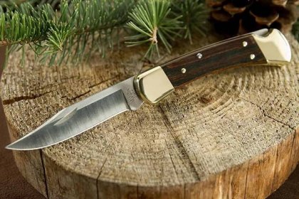 Buck Knives Model 110 Review