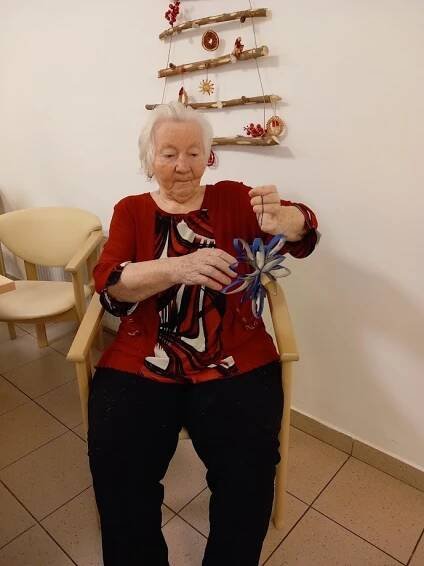ZŠ Svoboda nad Úpou | Alzheimer Home