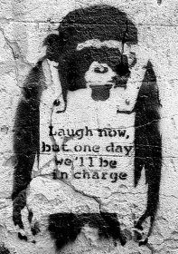 Banksy street art - chimp - Plakát, Obraz na zeď | 3+1 ZDARMA | Posters.cz
