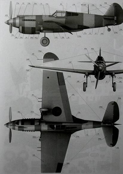 Curtiss Tomahawk IIB - American Fighter (2 Marking Options) (Model With Laser Cut Frames)
