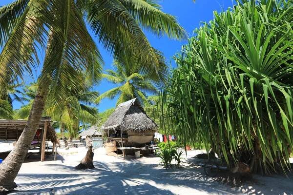 Hut made of coconut palm tree in a village.