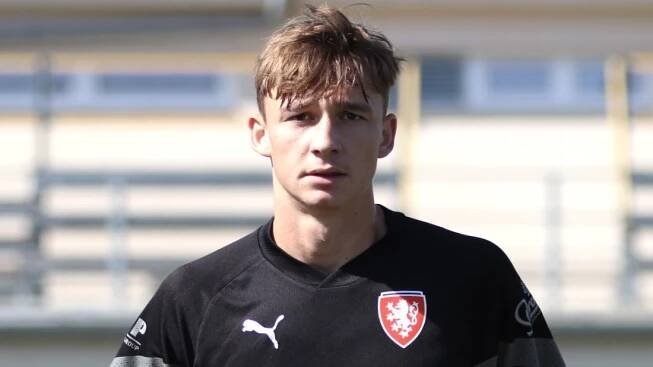 Raketový podzim hradecké komety. Juliš u Lvíčat nahradil nemocného Daňka - Sport.cz
