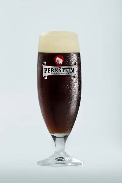 Metr piva: 10x 0,5 l piva z pivovaru Pernštejn dle výběru z 8 druhů
