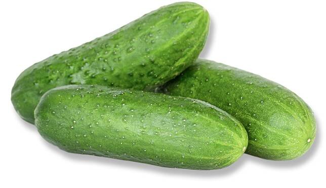 Cucumber