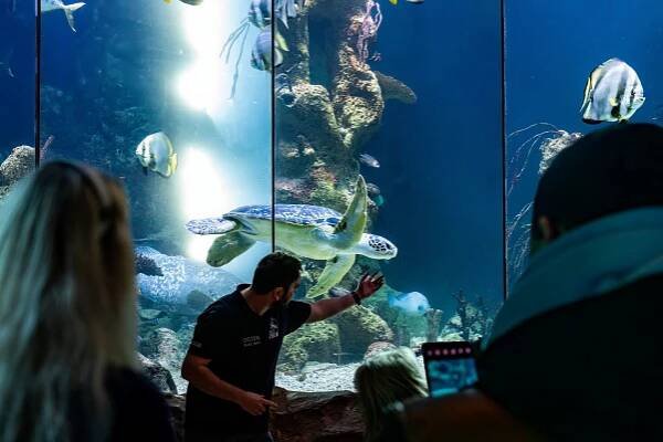 Guide zeigt auf Fische in einem Becken während einer Führung durch den Zoo