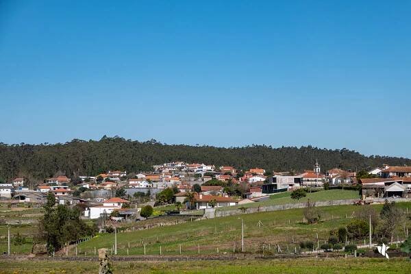 The Portuguese Way to Barcelos (Day three) | Victoria Restrepo
