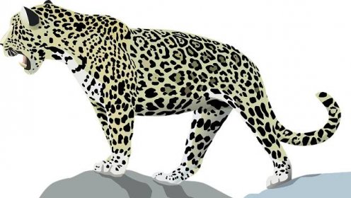 Vektorový obrázek, ilustrační klipart Jaguár americký v rozlišení 1600x901 pixelů zdarma ke stažení, Zvířata vektor do vašich dokumentů