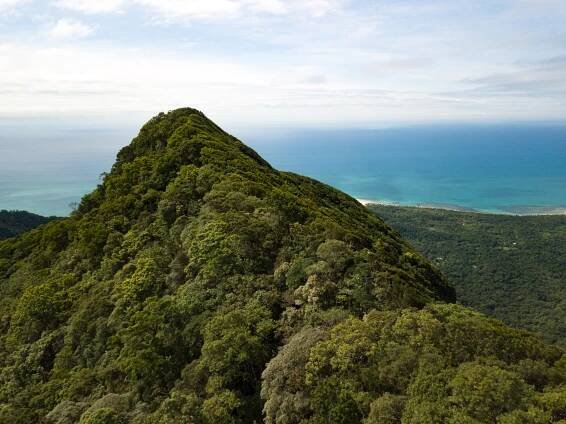 38 Epic Cairns Hikes &Amp; Walking Trails: Complete Guide