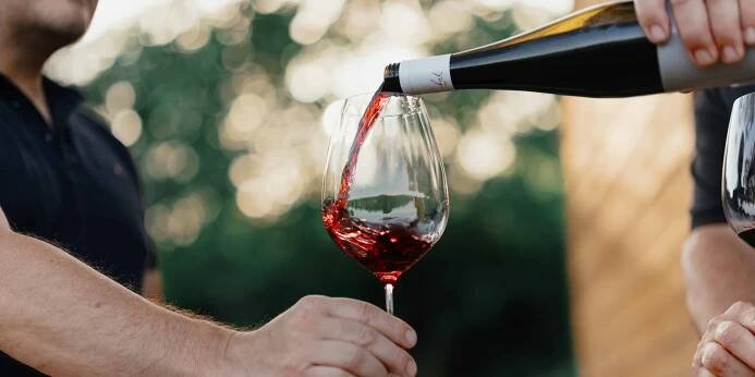 Degustace 8-10 vín i prohlídka vinařství Hrabal