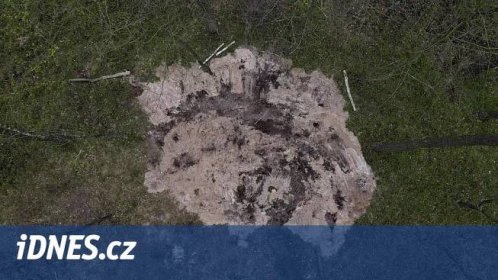 Na severu Polska spadl do lesa vojenský objekt, mohl pocházet z letadla - iDNES.cz