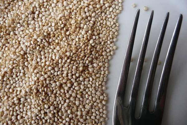 Chenopodium quinoa - Wikimedia Commons