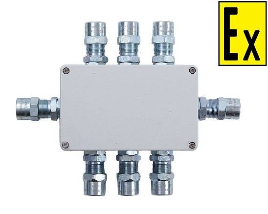 KVMK <br> 1ExeIIBT5Gb