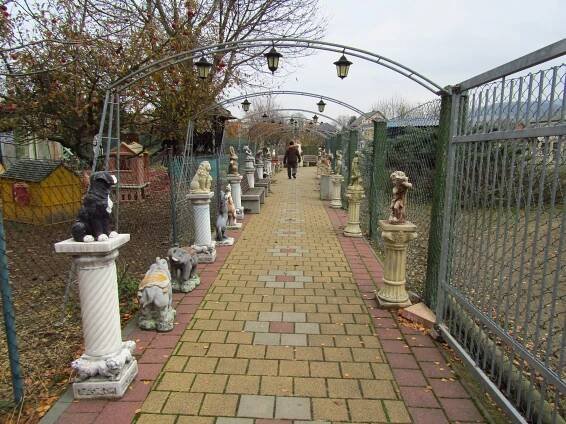 Fotografie - 13.11.2021