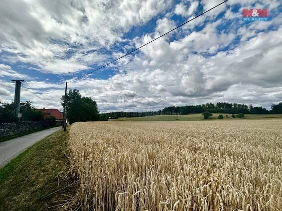 Prodej Pozemek, Bezdědovice, okres Strakonice