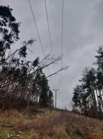 Silný vítr v ČR lámal stromy. Způsobil výpadky proudu a komplikace v dopravě