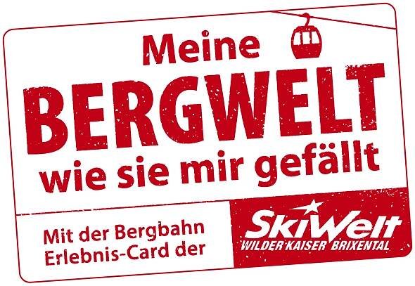 SkiWelt Logos | Offizielle Markenlogos herunterladen