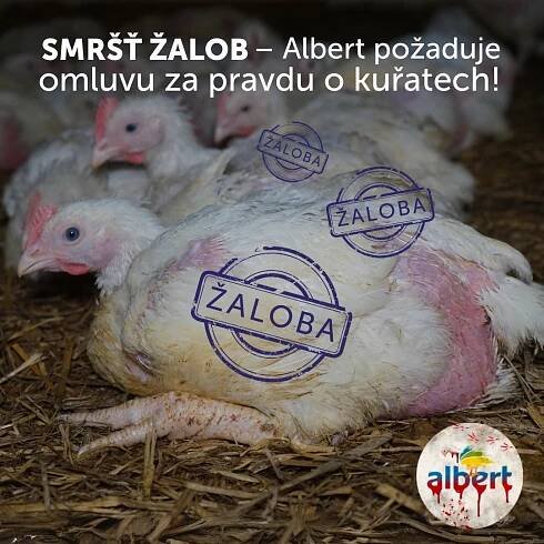 Blog: Tiskové zprávy | Strana 3 z 10 | OBRAZ – Obránci zvířat