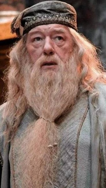 Loss and Mourning: 8 beloved Harry Potter characters we lost over the years